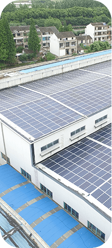 jinnianhui�����