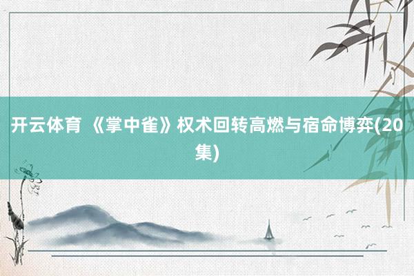 开云体育 《掌中雀》权术回转高燃与宿命博弈(20集)